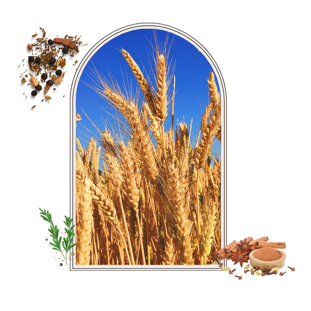 Merchant Exporter In India